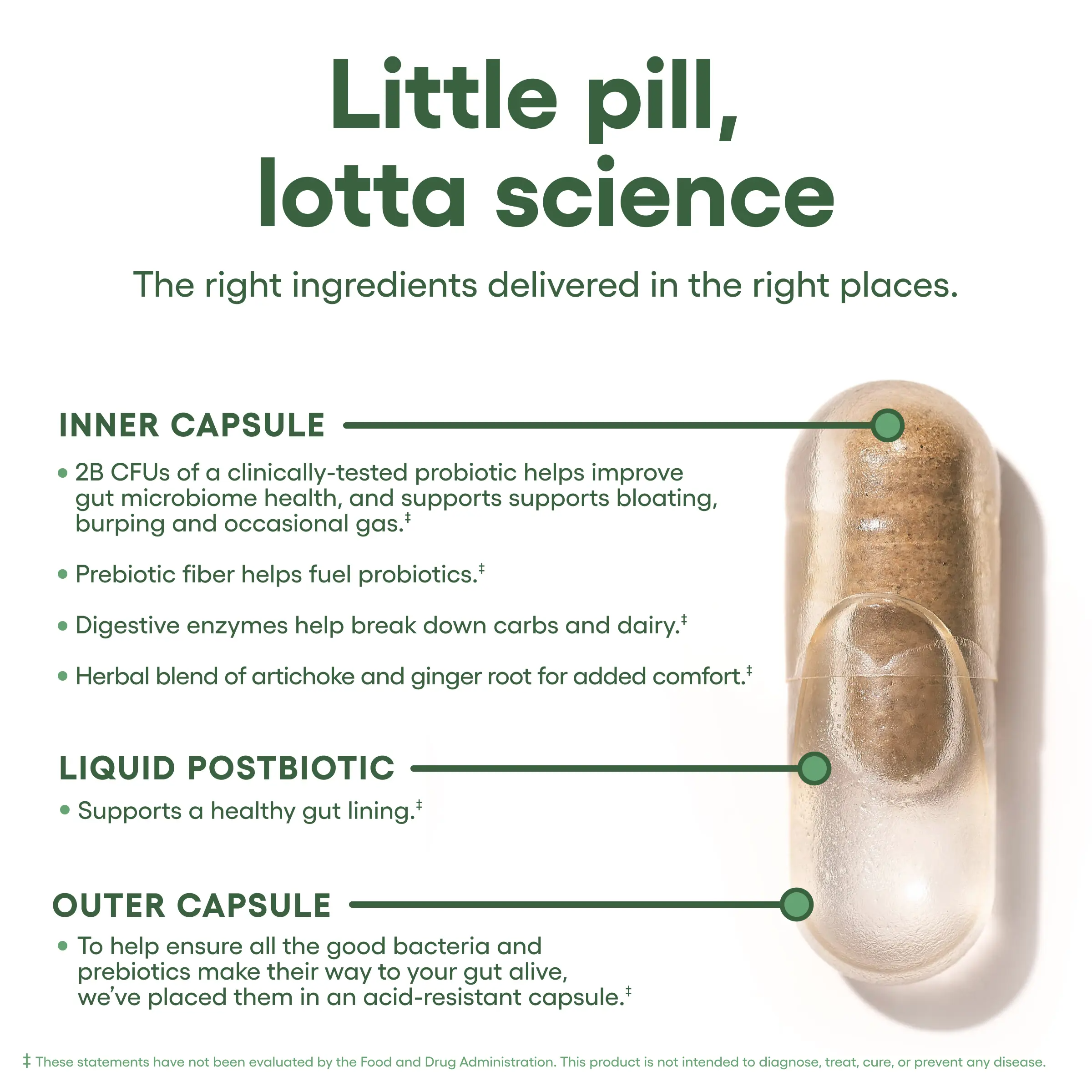 Physician's Choice Bloat & Gas Probiotic | Lactase, Digestive Enzymes, Prebiotics & Postbiotics | Daily Gut Support