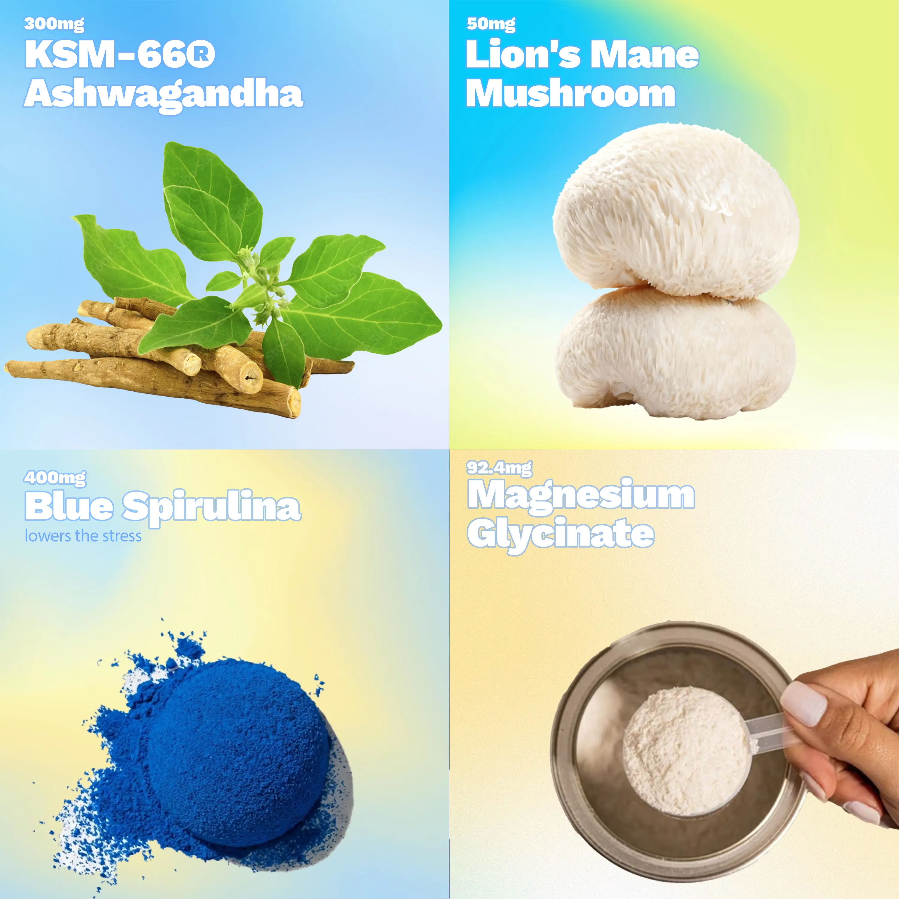 Jooiee Nu EasyCalm Blue Detox | Blue Spirulina, KSM-66 Ashwagandha & Magnesium | Gut Balance & Bloat Relief | 20 Servings
