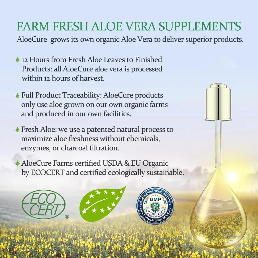 AloeCure Organic Aloe Vera Capsules | 160,000mg Equivalent | Gut Health, Digestion & Immune Support | Aloin-Free | 30 Capsules