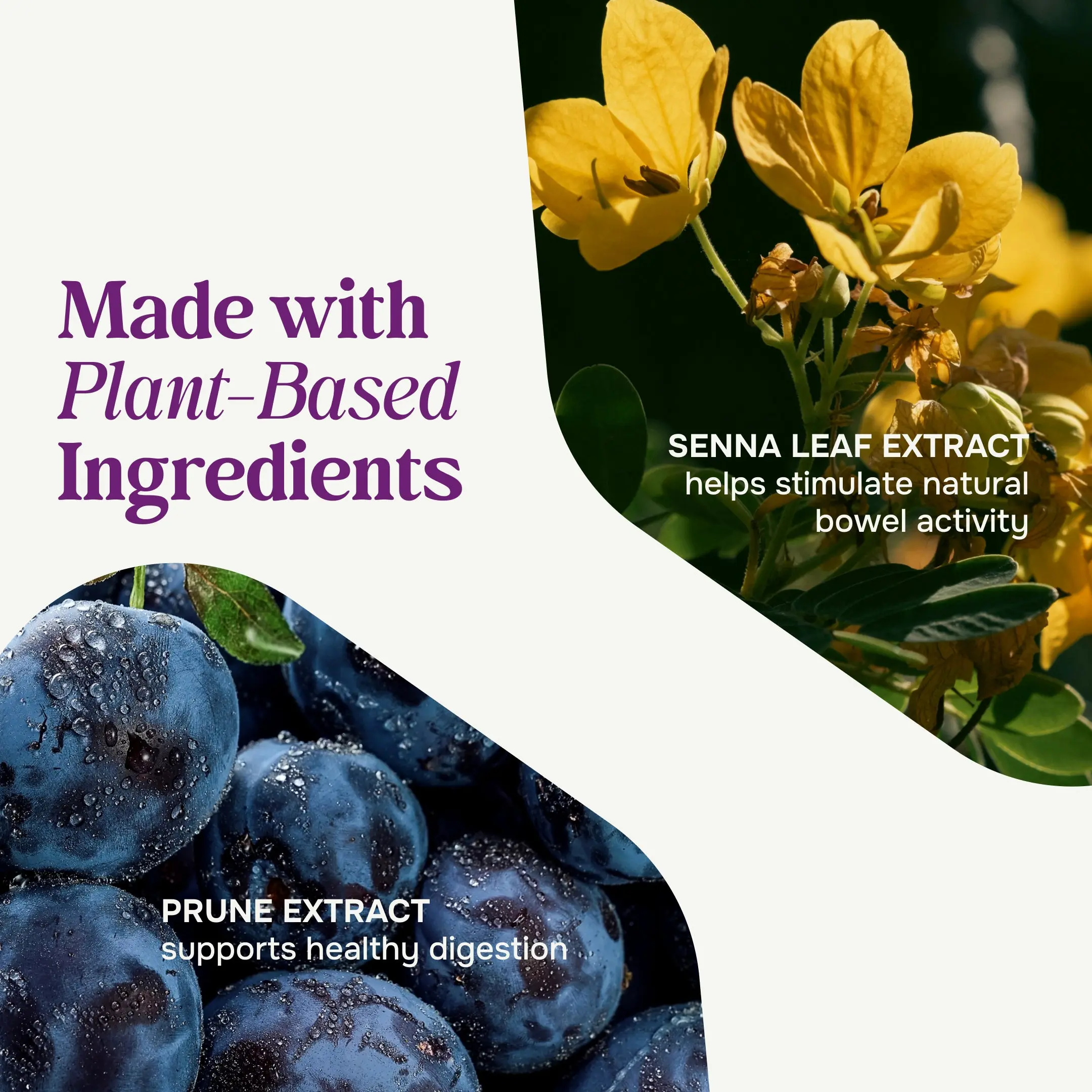 Prunelax Maximum Relief Tablets | Natural Senna & Prune Extract | Gentle Overnight Constipation Relief