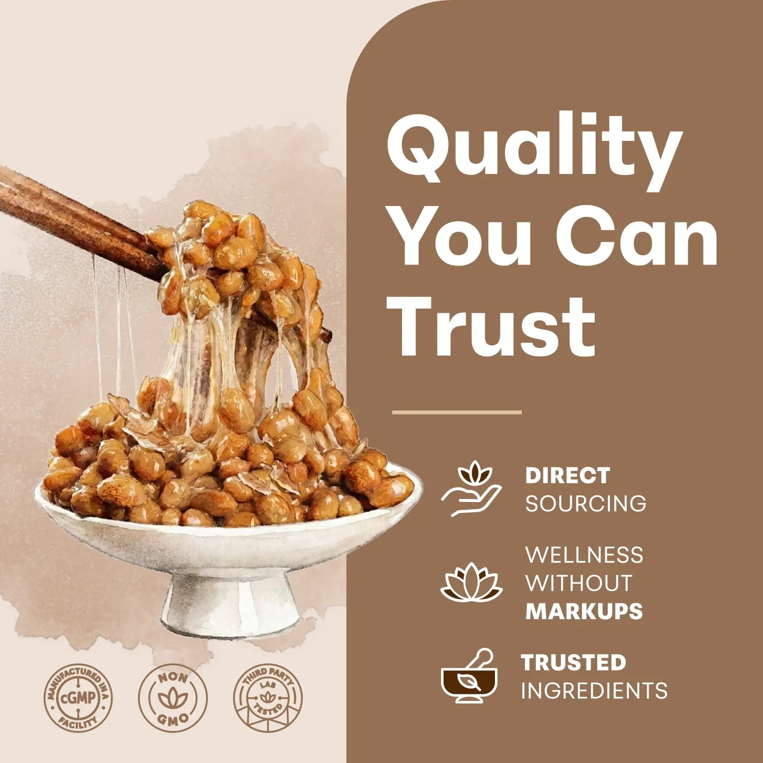 Micro Ingredients Nattokinase 10,000FU | CoQ10, Turmeric & Aged Garlic | 240 Vegetarian Capsules