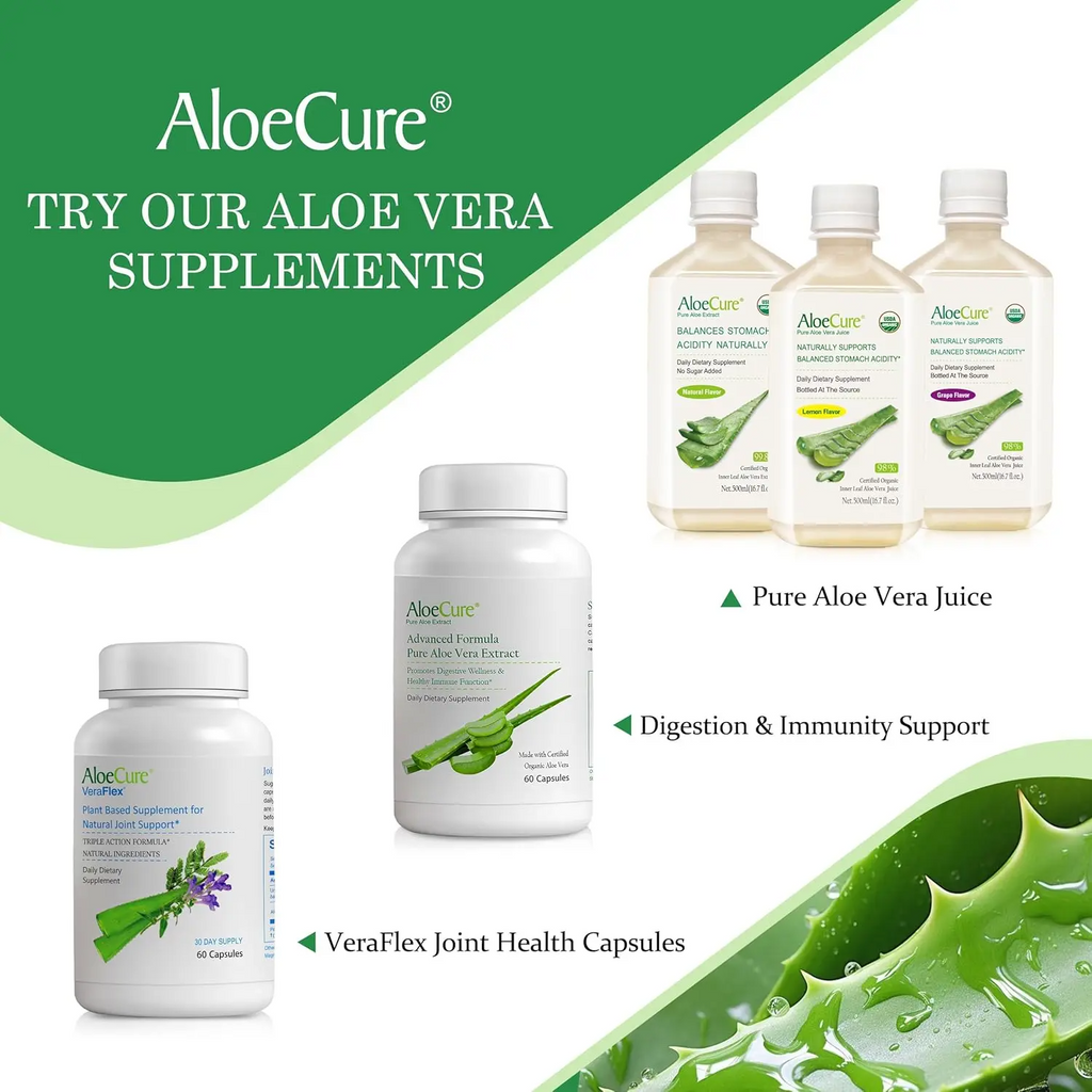 AloeCure Organic Aloe Vera Capsules | 160,000mg Equivalent | Gut Health, Digestion & Immune Support | Aloin-Free | 30 Capsules